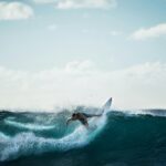 What surfing and marketing have in common