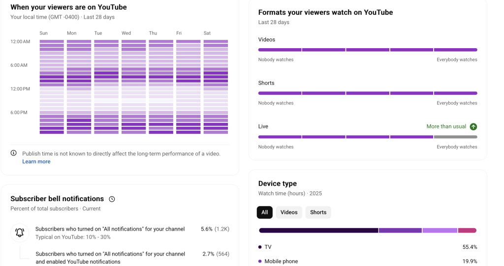 YouTube Analytics Dashboard Example